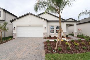 Picasso - Hawthorne Ranch: Lakeland, Florida - M/I Homes