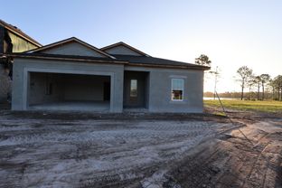 Madeira II - Connerton: Land O' Lakes, Florida - M/I Homes