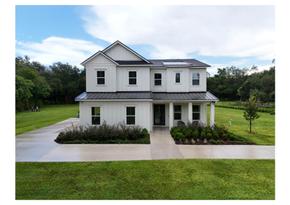 Sunset Estates - Lutz, FL