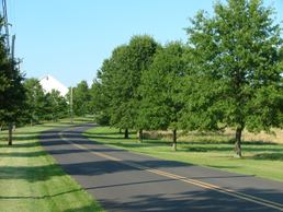 Build On Your Lot Community Image