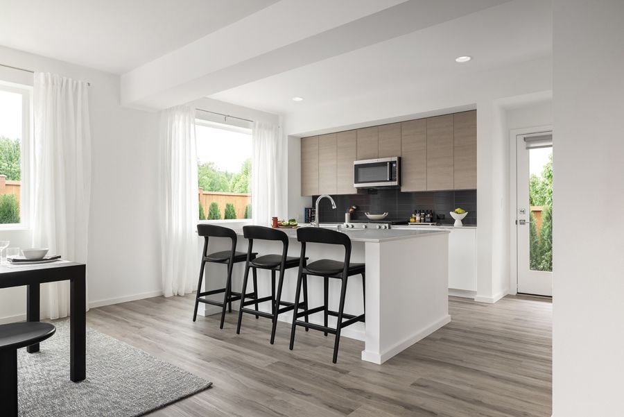 Interior Image For The Skagit V2