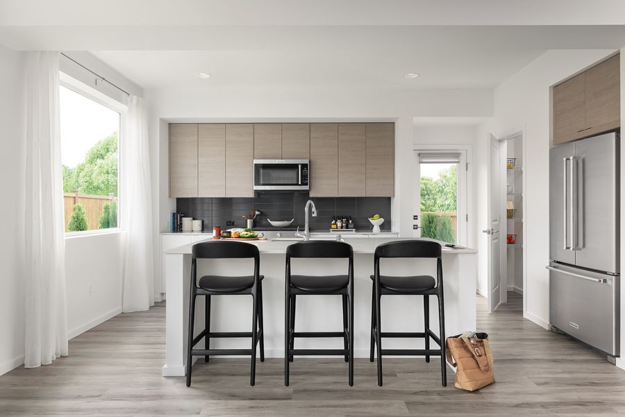 Interior Image For The Skagit V2