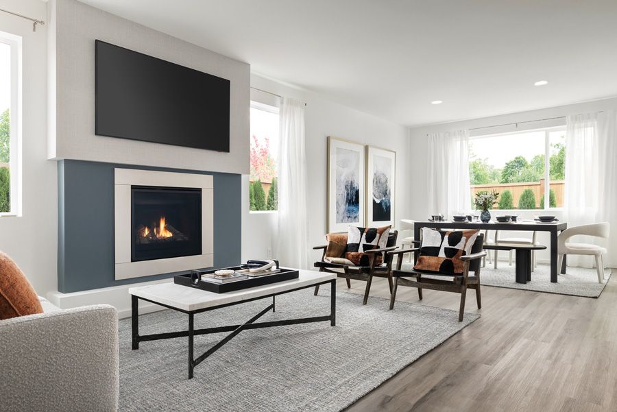 Interior Image For The Skagit V2