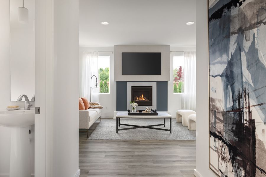 Interior Image For The Skagit V2