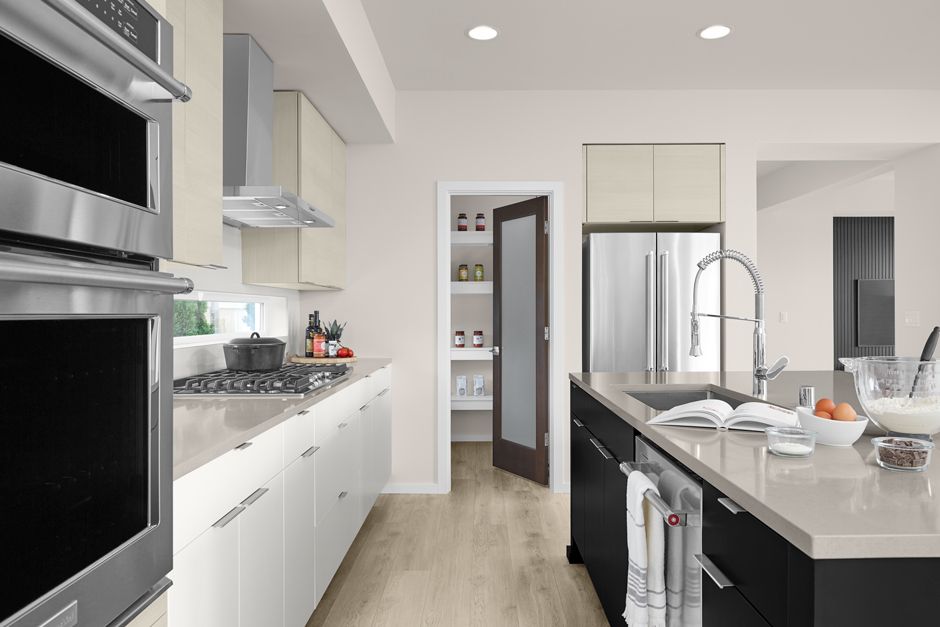 Interior Image For The Iris