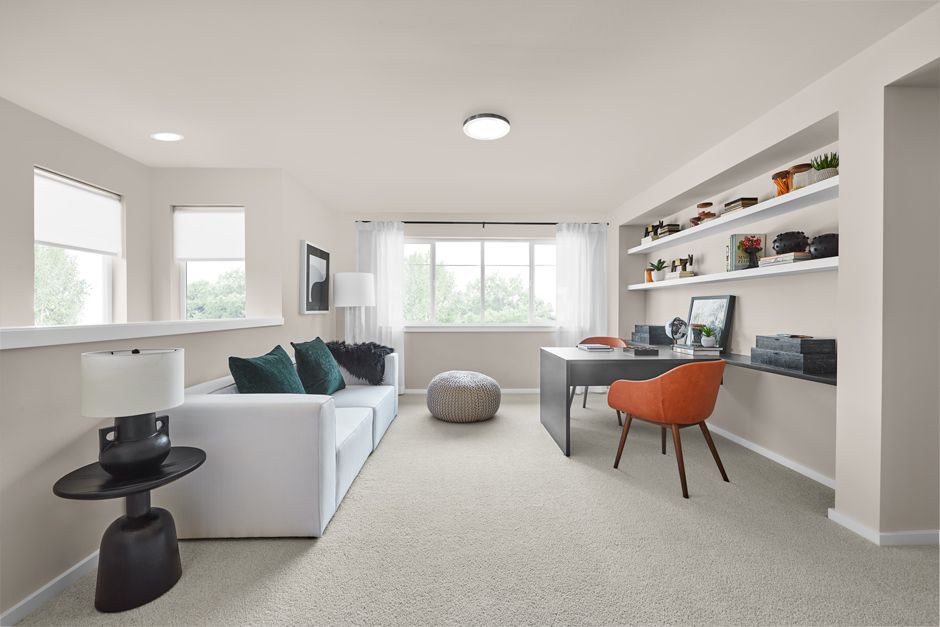 Interior Image For The Iris