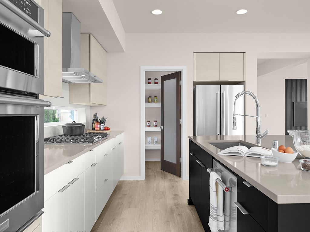 Interior Image For The Iris