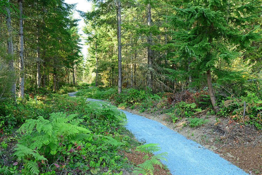 Photos From MainVue Homes at Tehaleh