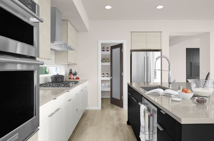 Photos From Roma Meadows