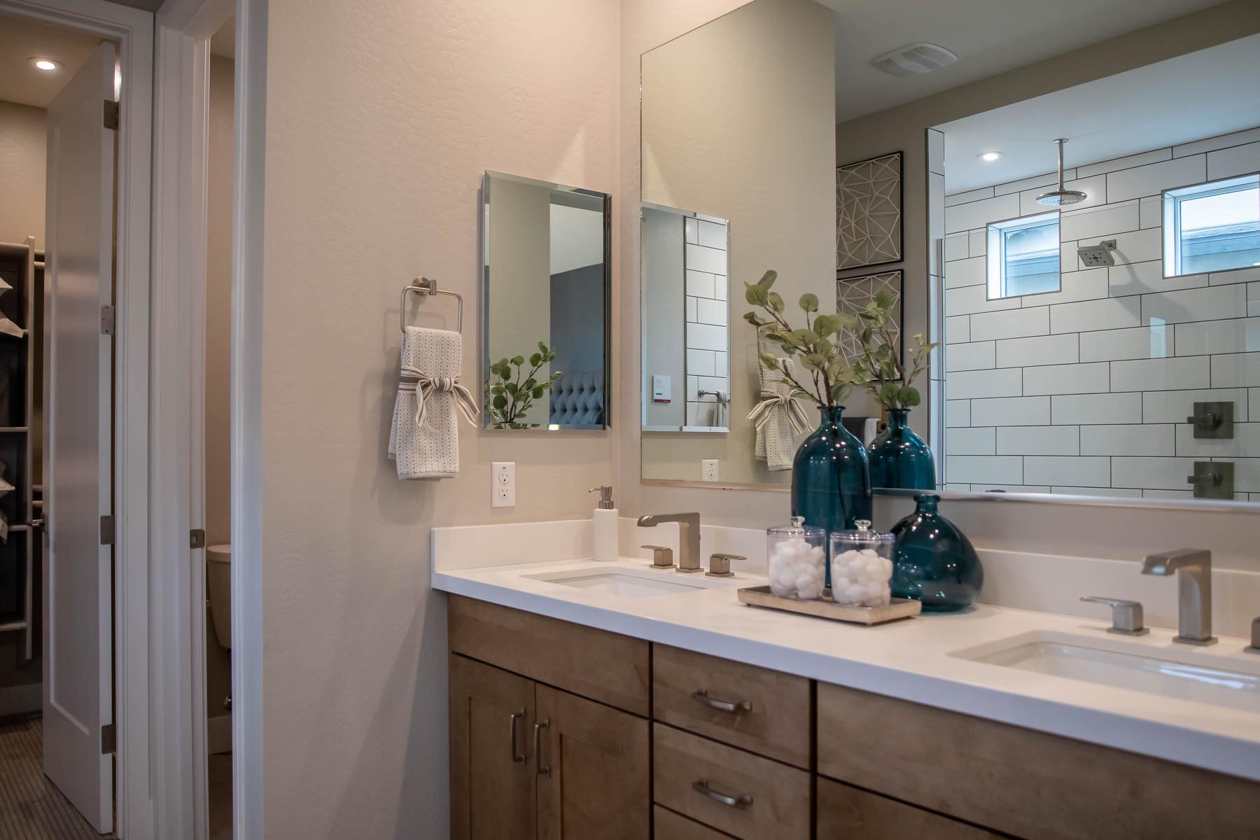 Owner's Bath