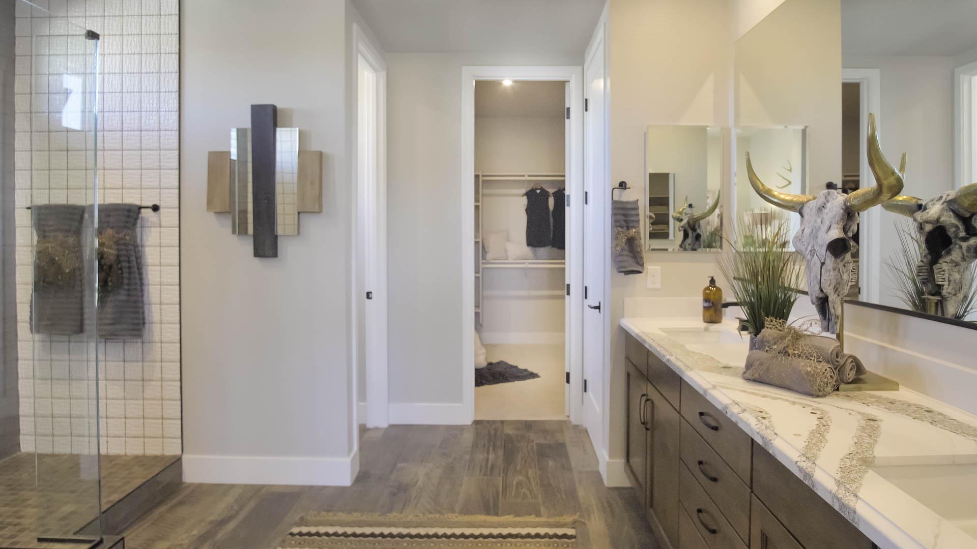 Owner's Bath