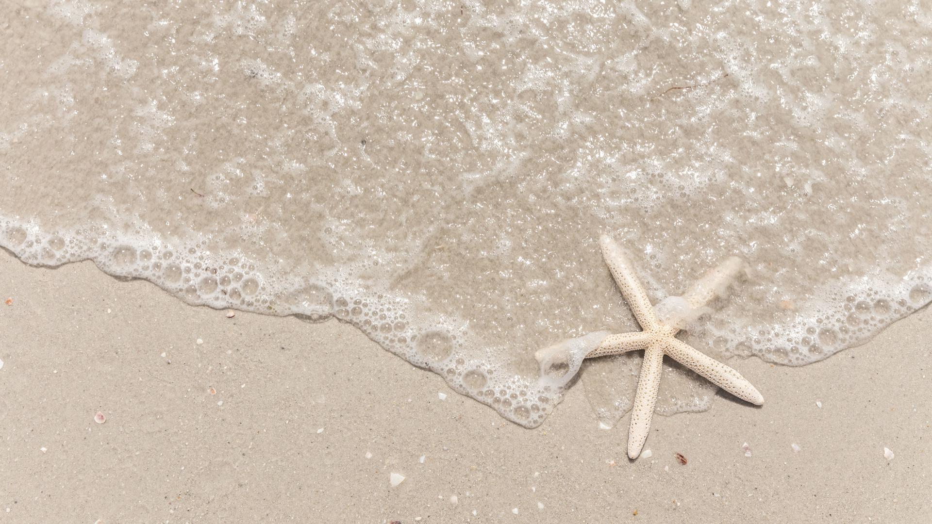 Investors welcome—discover the opportunity to own on beautiful Pine Island.