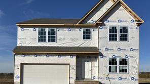 4357 Pummelo Drive (Carlisle)