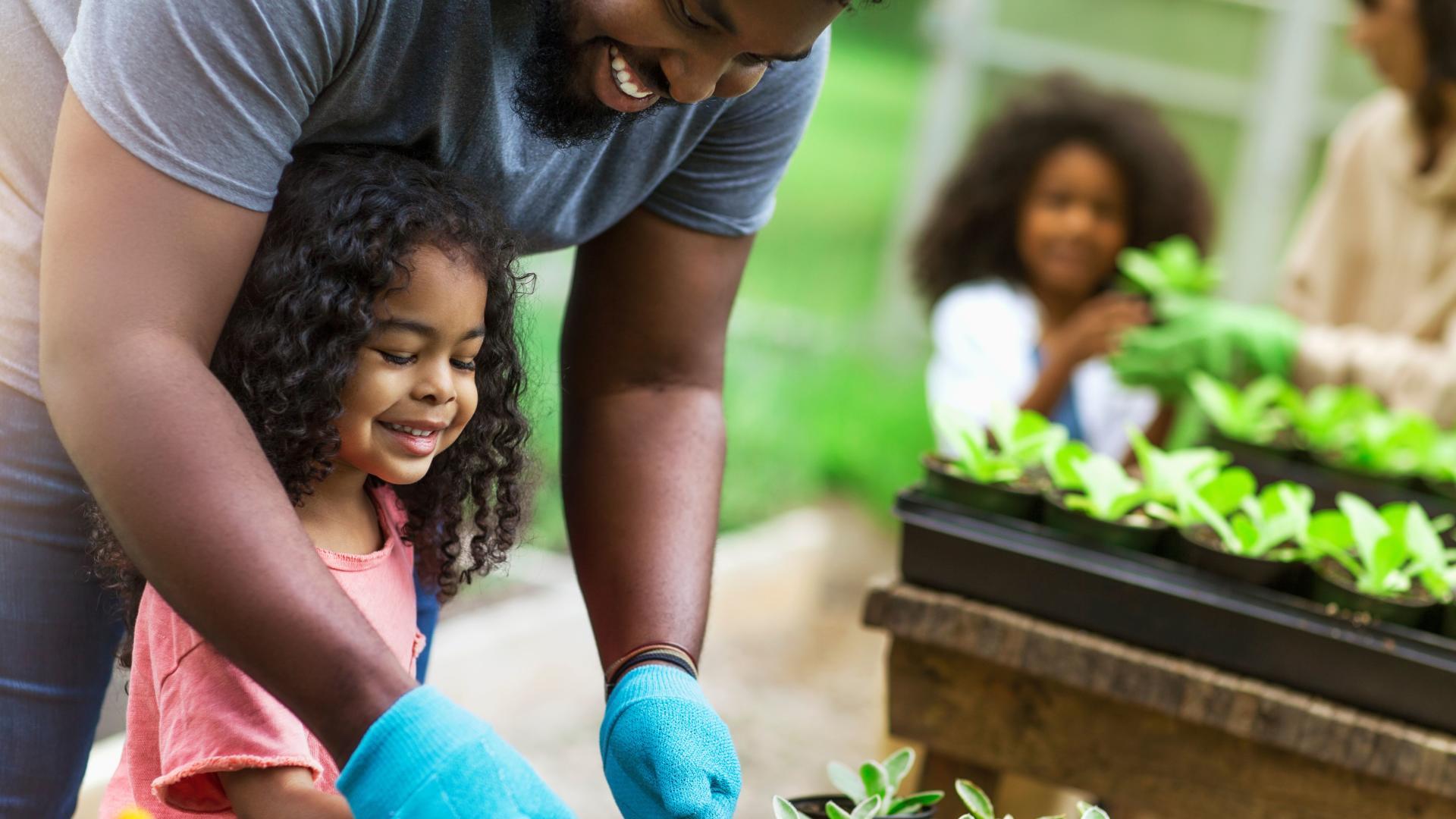 Bring your outdoor space to life at the vibrant Valkaria Gardens. You can easily spend hours there.