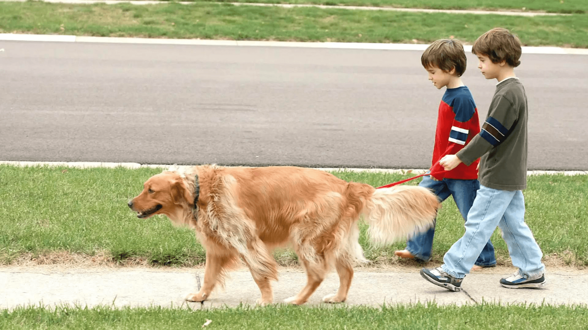 Sidewalk line streets are perfect for friends, pups, and strollers!