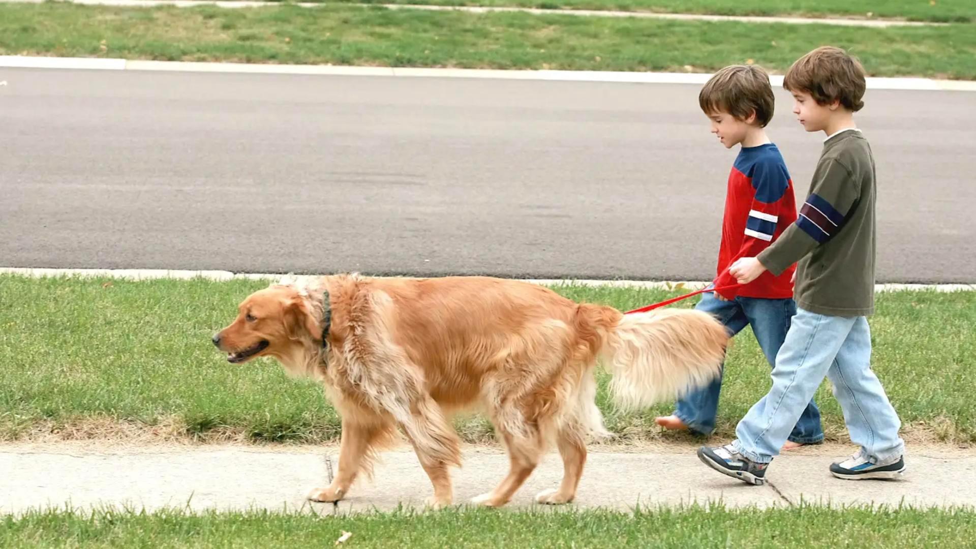 Sidewalk line streets are perfect for friends, pups, and strollers!