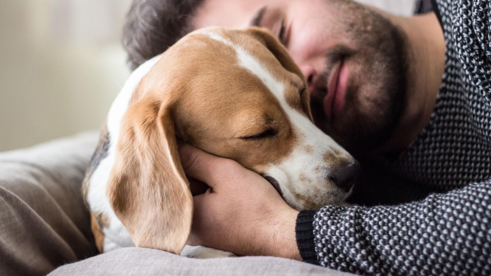 Own your own home, make your own rules. Your furry friend will love living on your terms, not the landlord's.