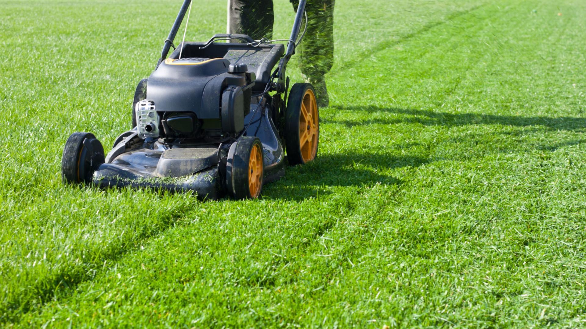 Save time and frustration - the HOA will cut the grass and maintain your yard.