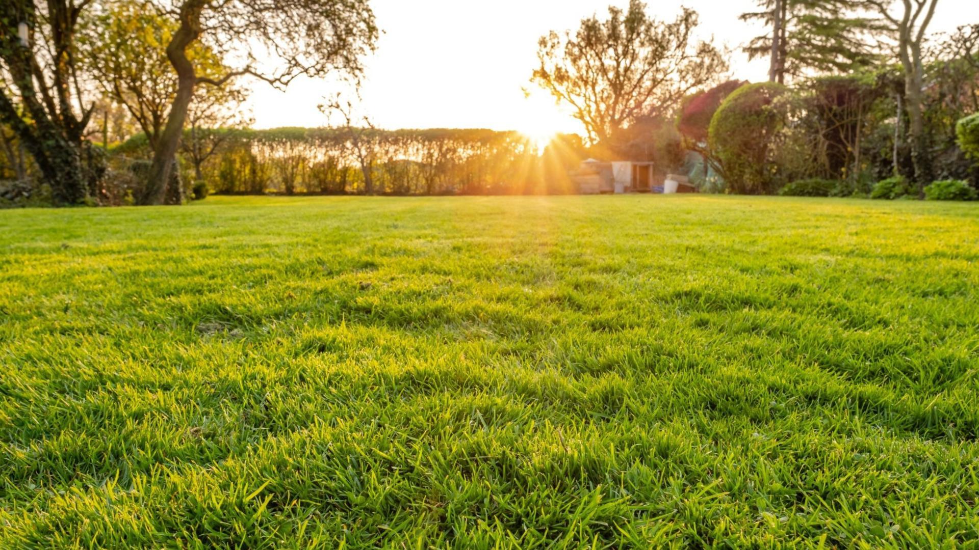 A yard this big is full of potential—what will you do with it?