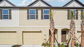 32099 Eastern Redbud Br (St Sebastian)