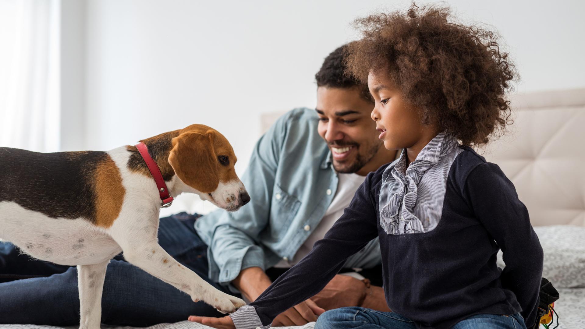 Your home, your choices – say goodbye to your landlord and pet fees. Join the list.