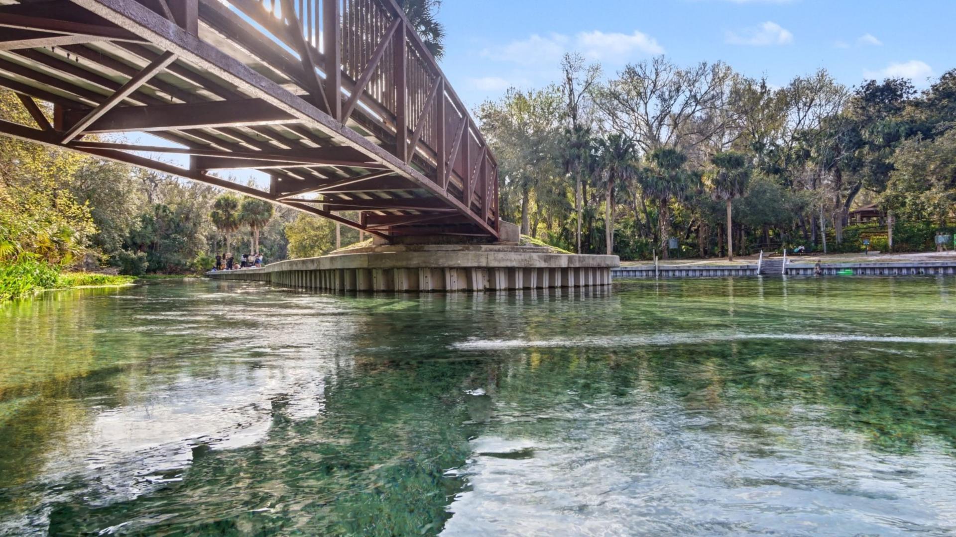 Kayak, swim, tube, hike, picnic, play volleyball, or camp out at Kelly Park, less than 4 miles away.