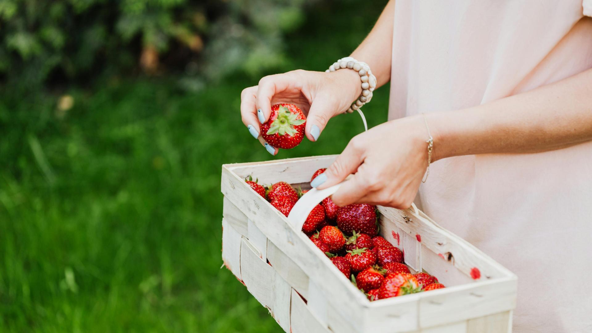 The annual Troy Strawberry Festival is full of fun, food, games &amp; strawberries!