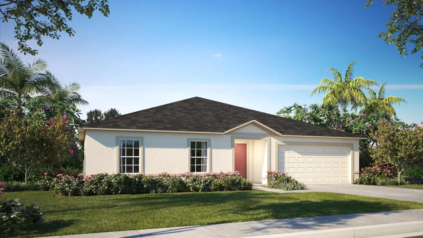 Orchid elevation rendering
