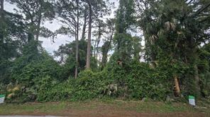 1927 Travelers Palm Dr (Ashton)