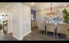 Deland: Deland, Florida - Maronda Homes