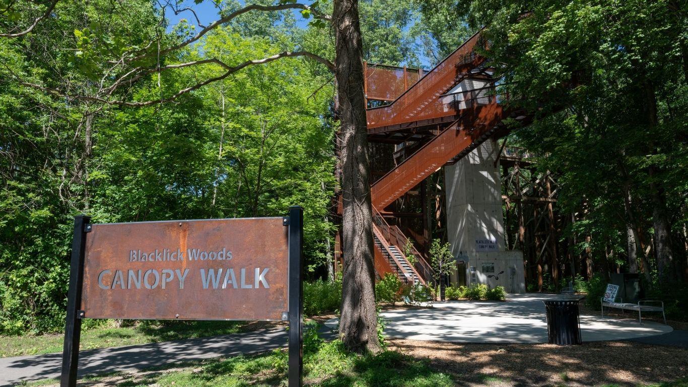 Enjoy the canopy walk unique to Blacklick Woods Park.