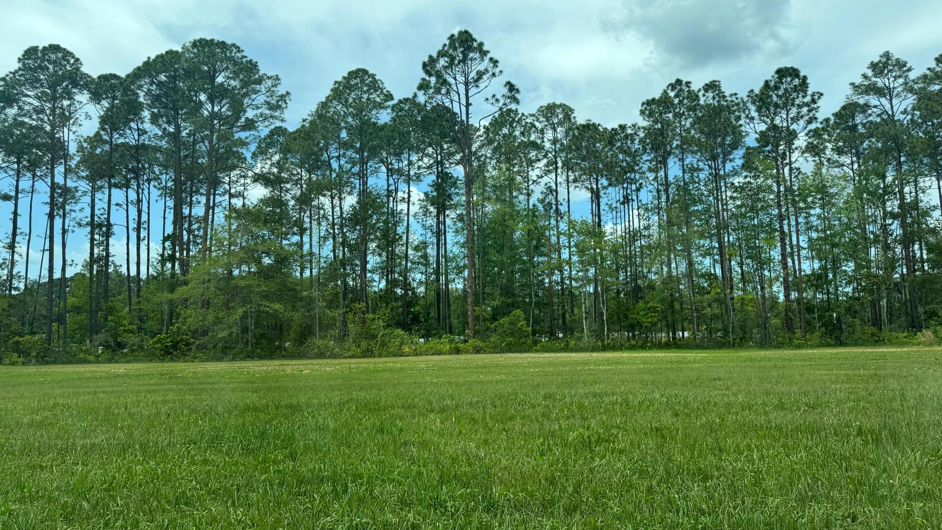 Find your sanctuary: oversized homesites &amp; tree-lined views. Join our VIP List for first choice.