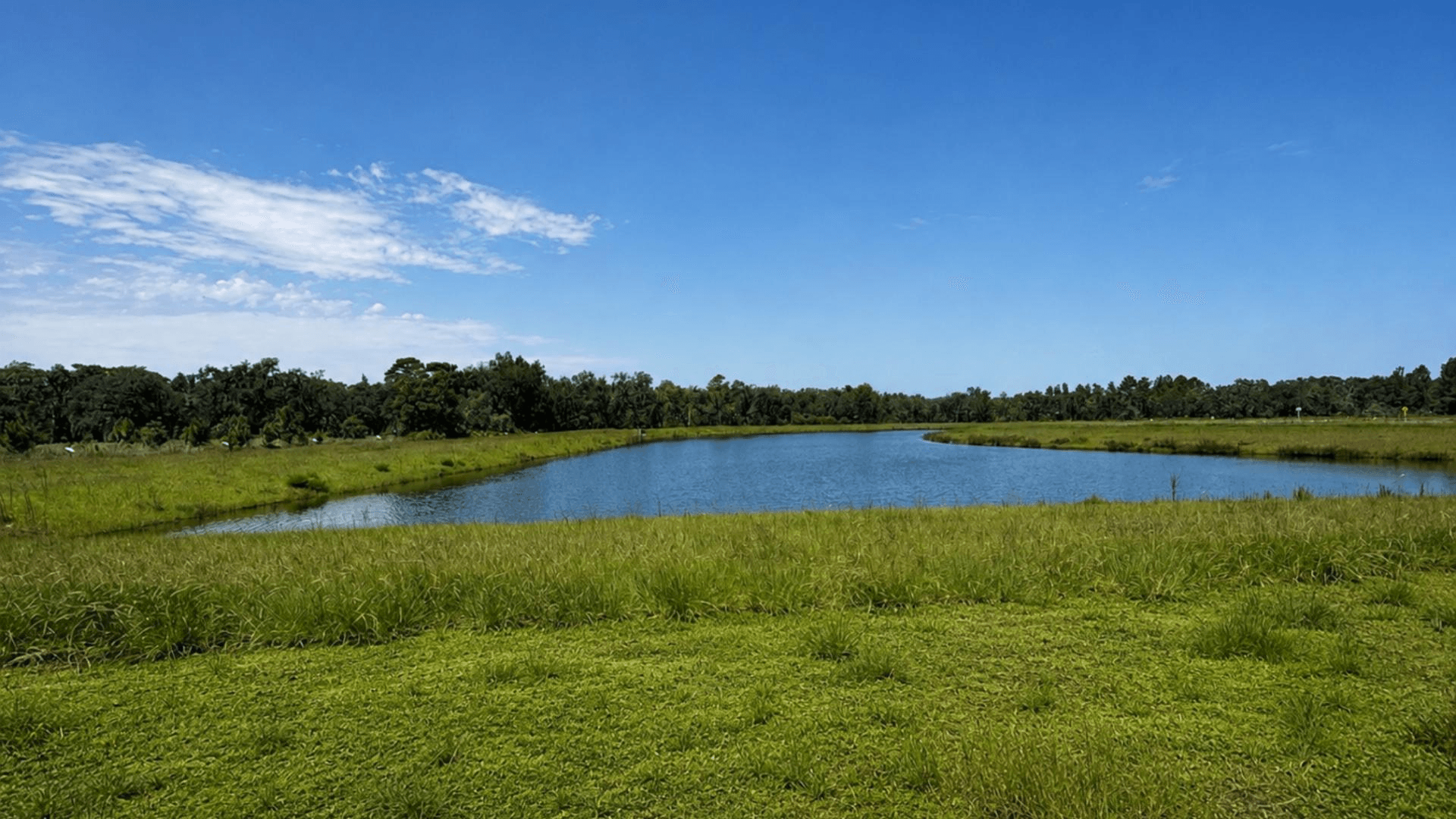 Pick your favorite homesite with water views at Hontoon Reserve! Join the List for 1st access.