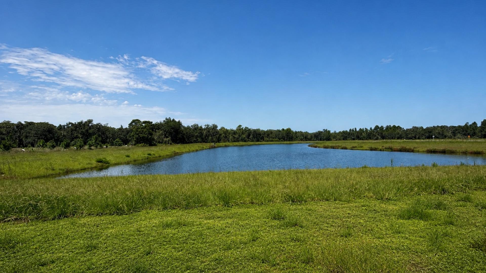 Pick your favorite homesite with water views at Hontoon Reserve!