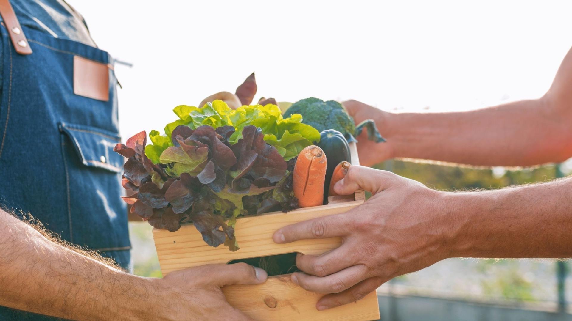 Freshly picked produce at The Bryer Patch, less than 6 miles from home.