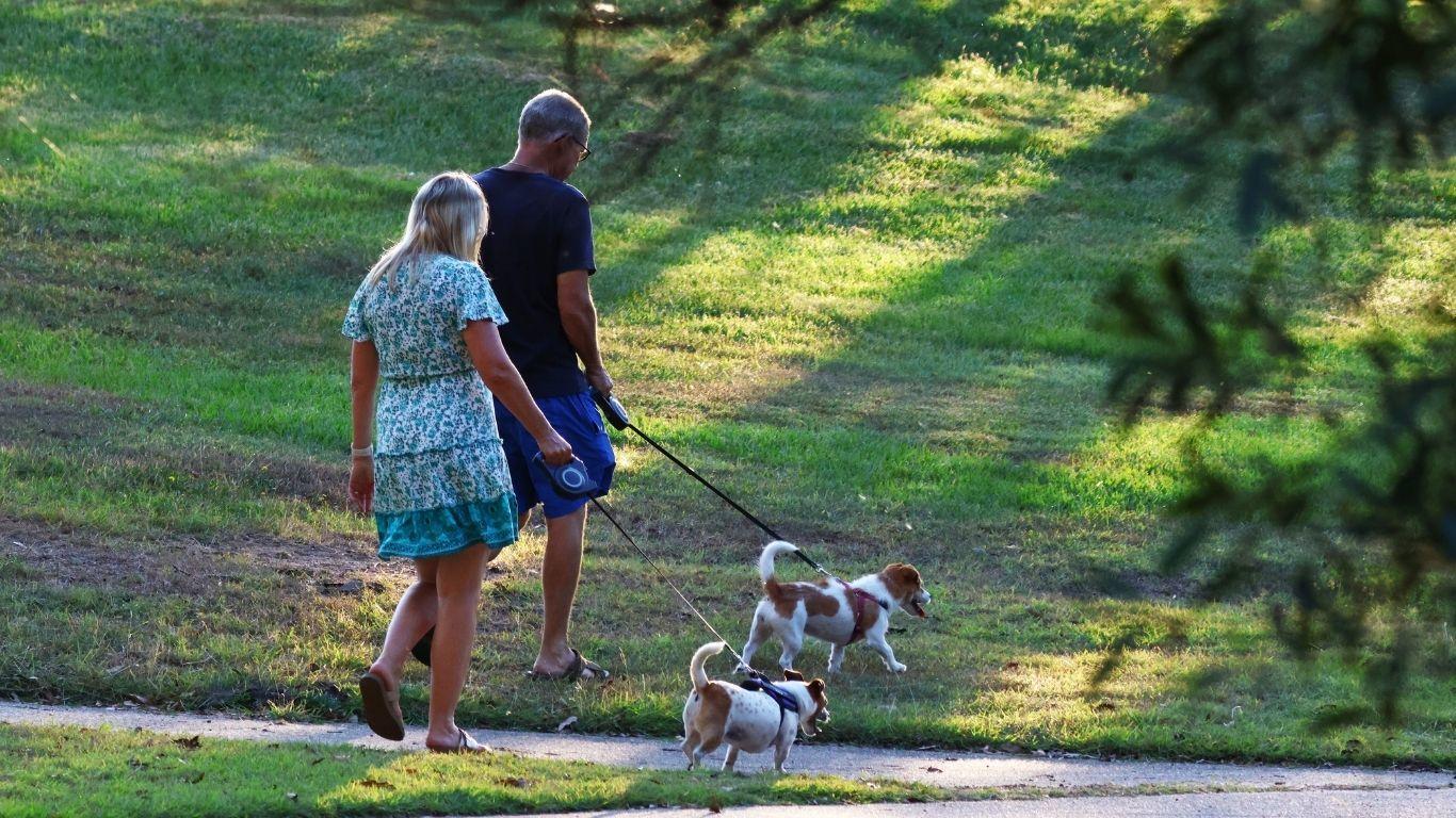Cul–de street with sidewalks and street lamps makes it easy to take your pup for a walk.