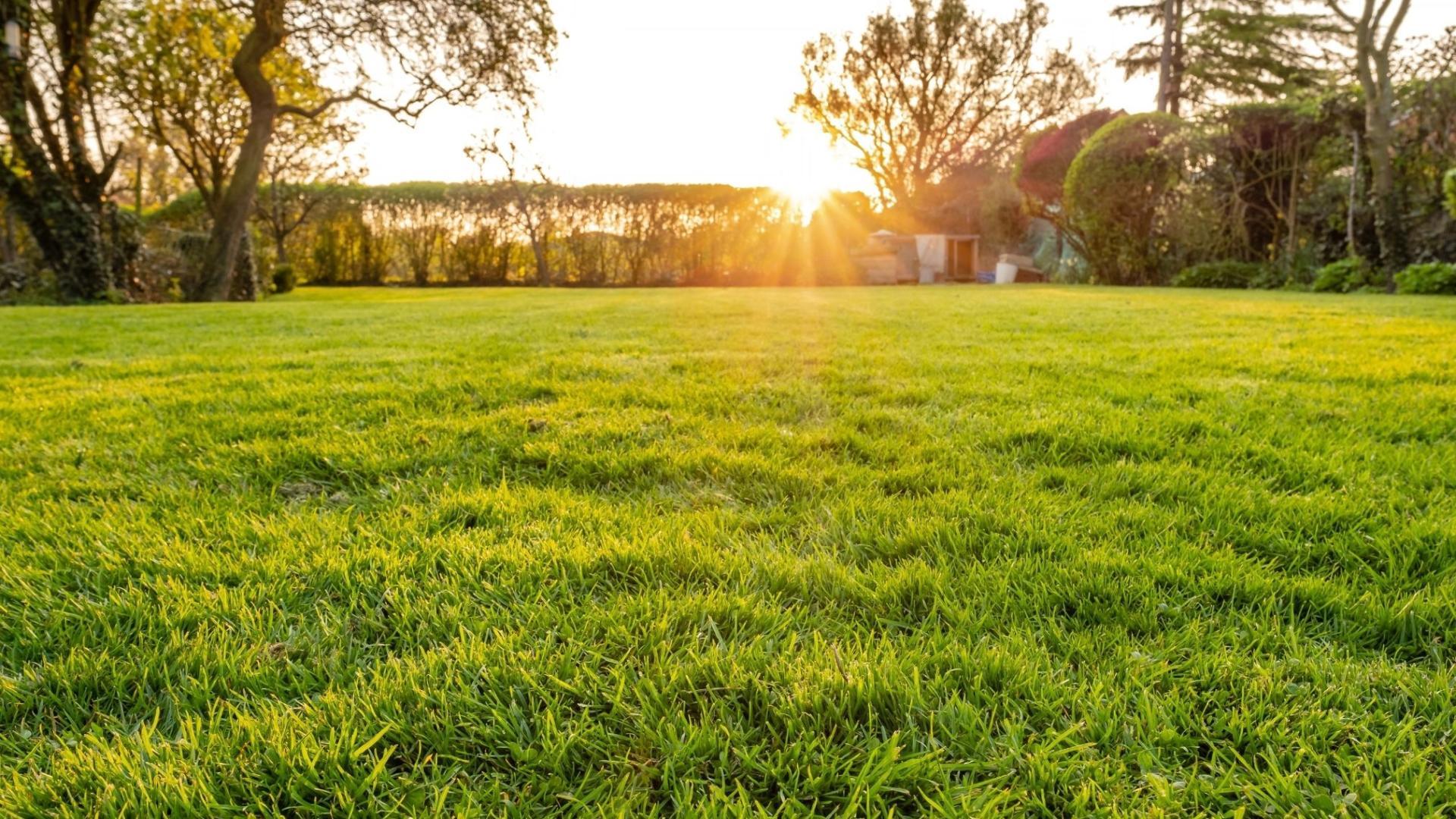 Cul-de-sac living without through streets. Join the List for first pick of homesites!