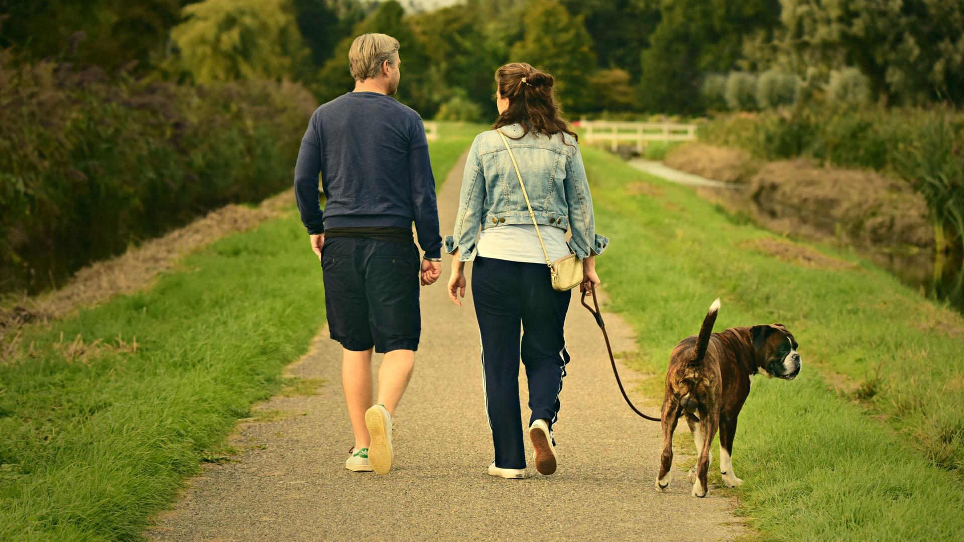 Take your four-legged best friend for a walk in the neighborhood while you get your steps in too!