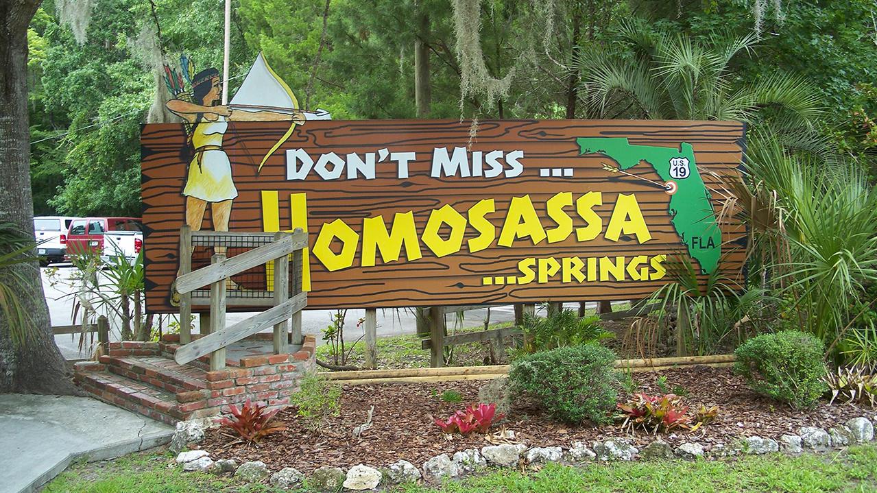 Immerse yourself in nature and enjoy the beauty of Homosassa Springs.
