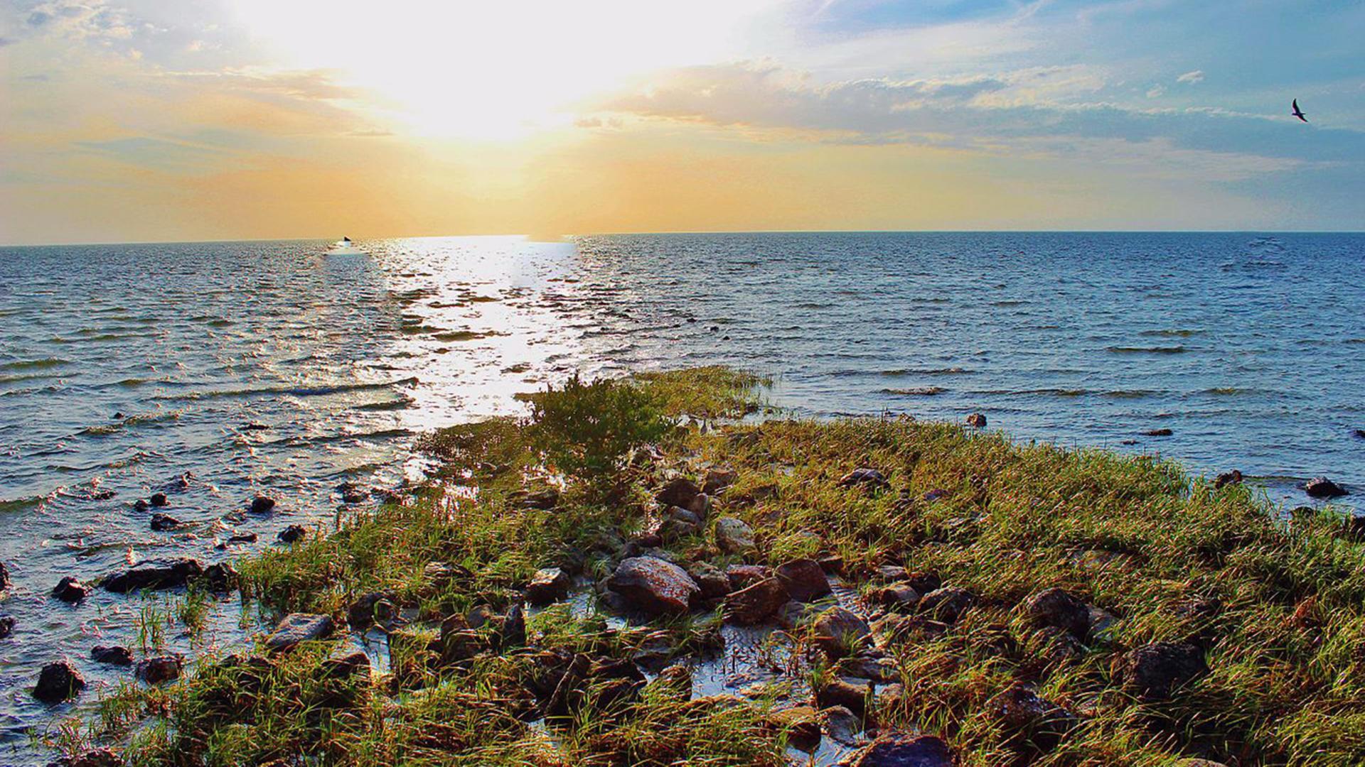 Pine Island, a modern and naturalistic beach, is a nearby location to relax.