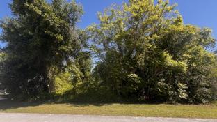 Mesquite - Deland: Deland, Florida - Maronda Homes