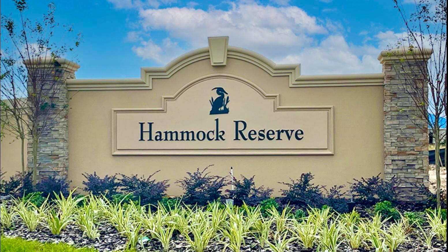 Small-town living with big-city access! Hammock Reserve is ideally located between Tampa and Orlando.