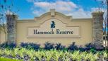 Hammock Reserve - Haines City, FL