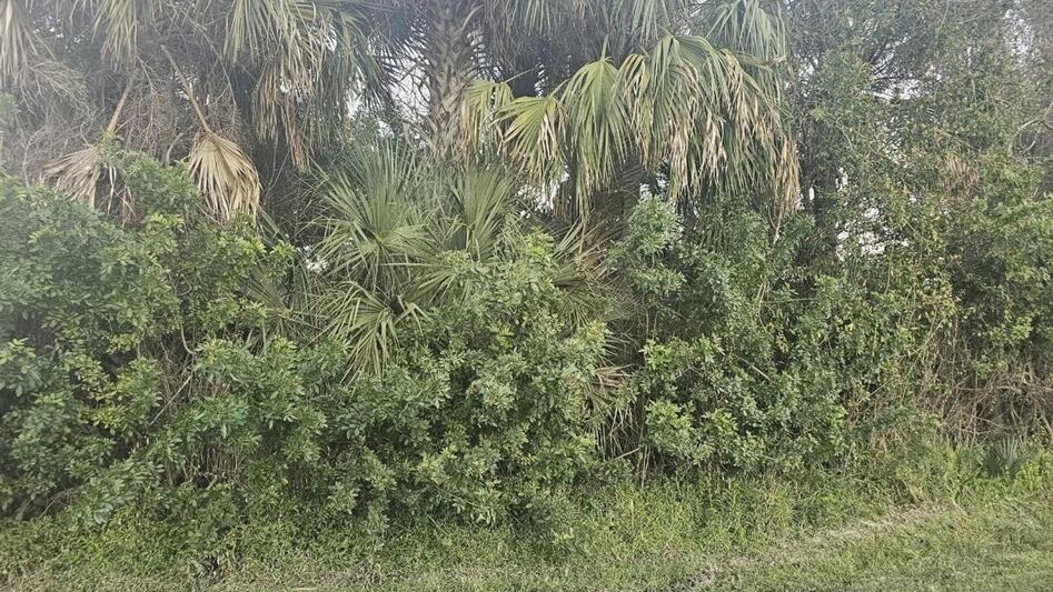 Ormond And Daytona Beach in Daytona Beach, FL New Homes by Maronda Homes