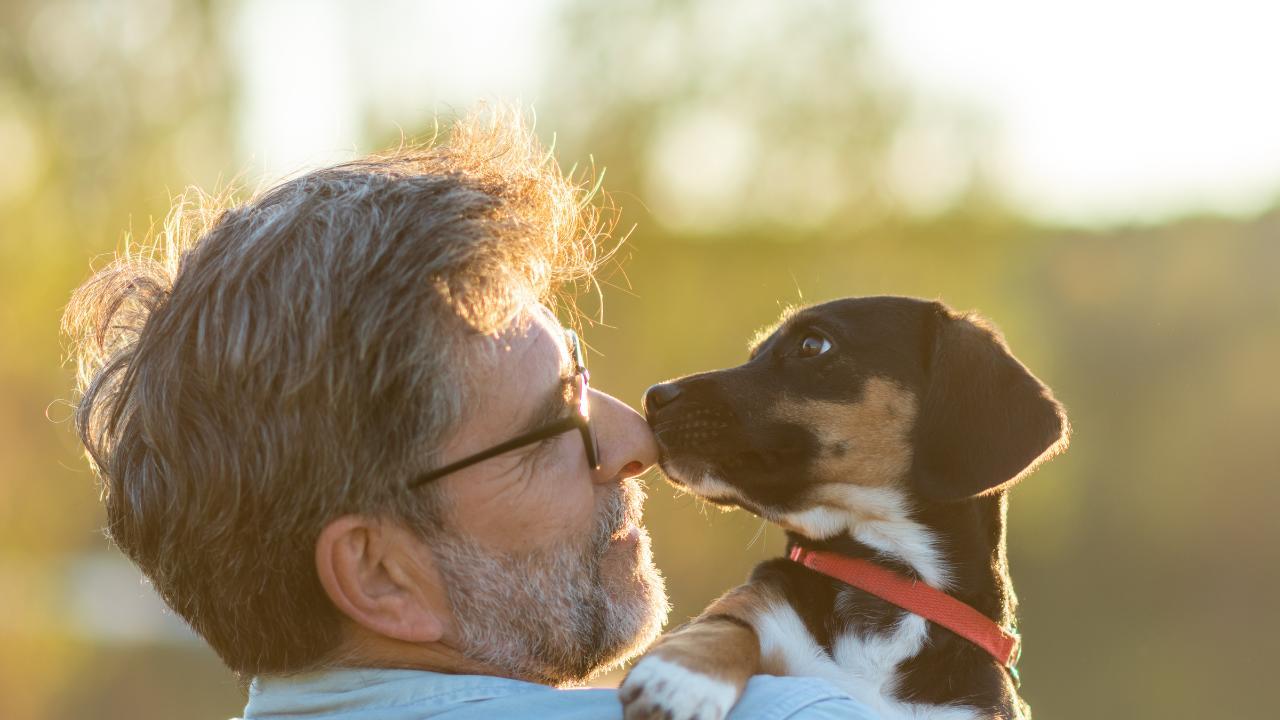 There is plenty of room for your furry friend to stretch out or play catch in the backyard
