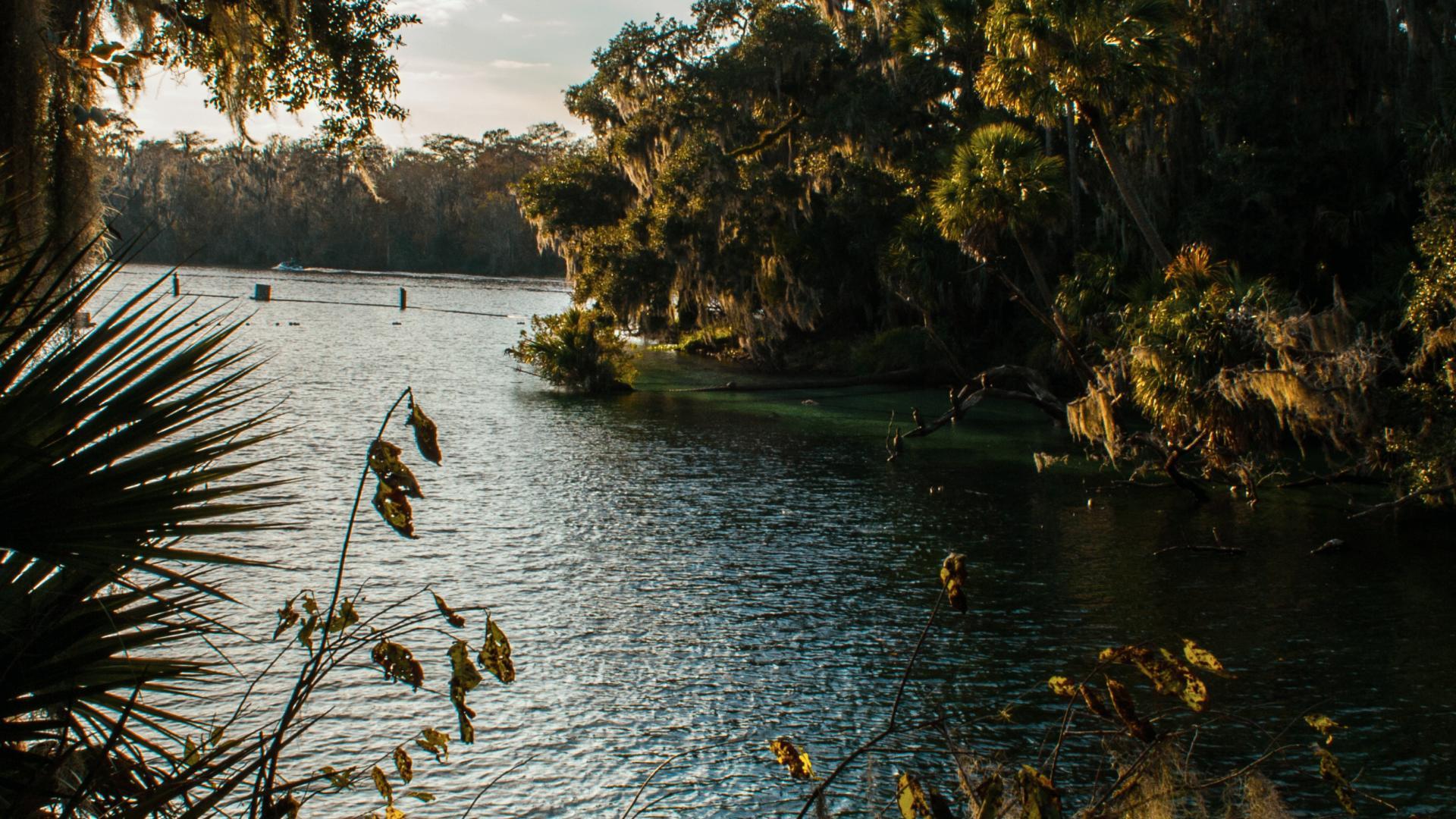 Attractions such as Blue Springs State Park are so close to home, travel and see what the area has to offer.