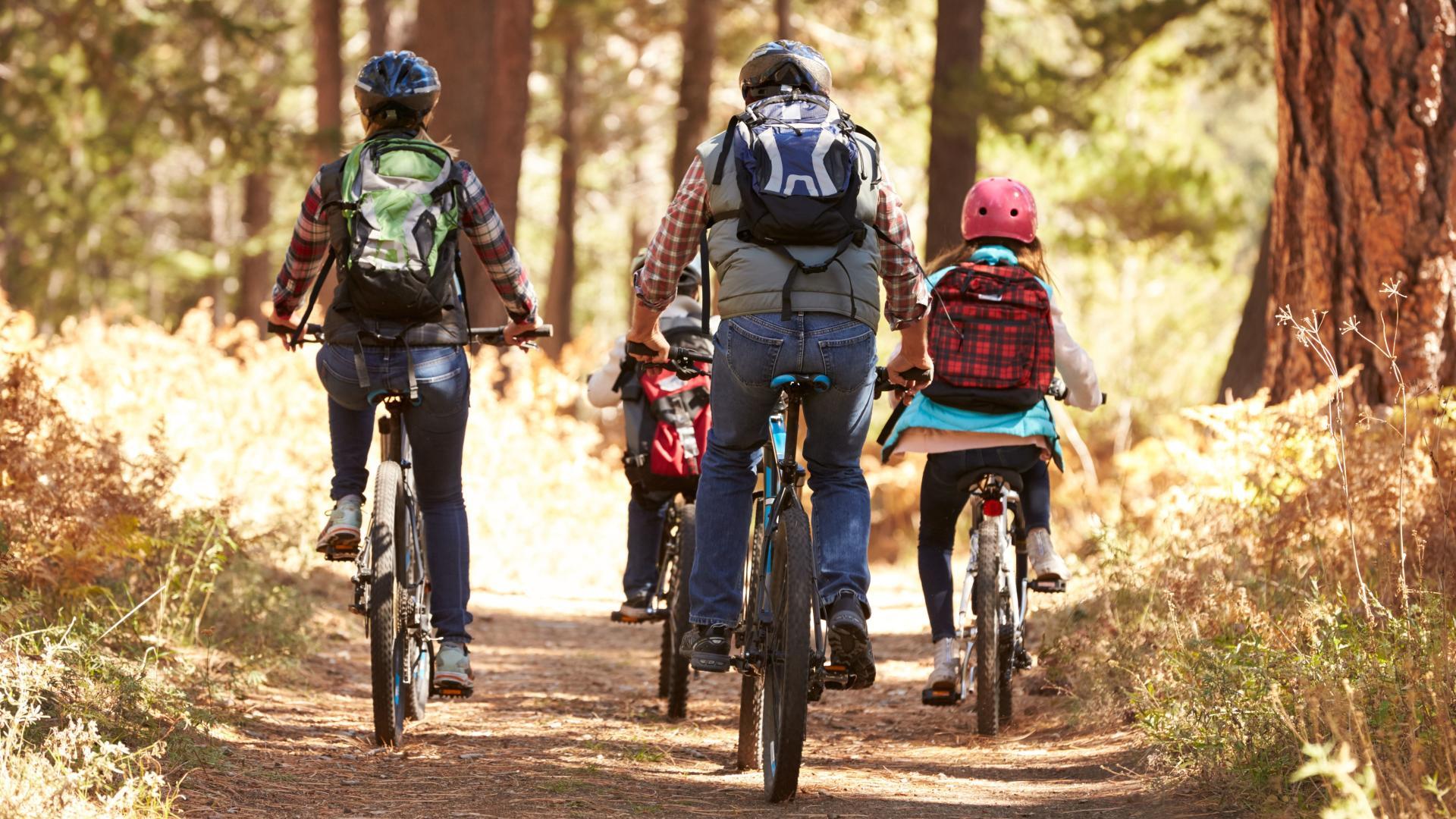 Go on a bike ride at Clippard Park or sight seeing at Farbach-Werner Nature Preserve.