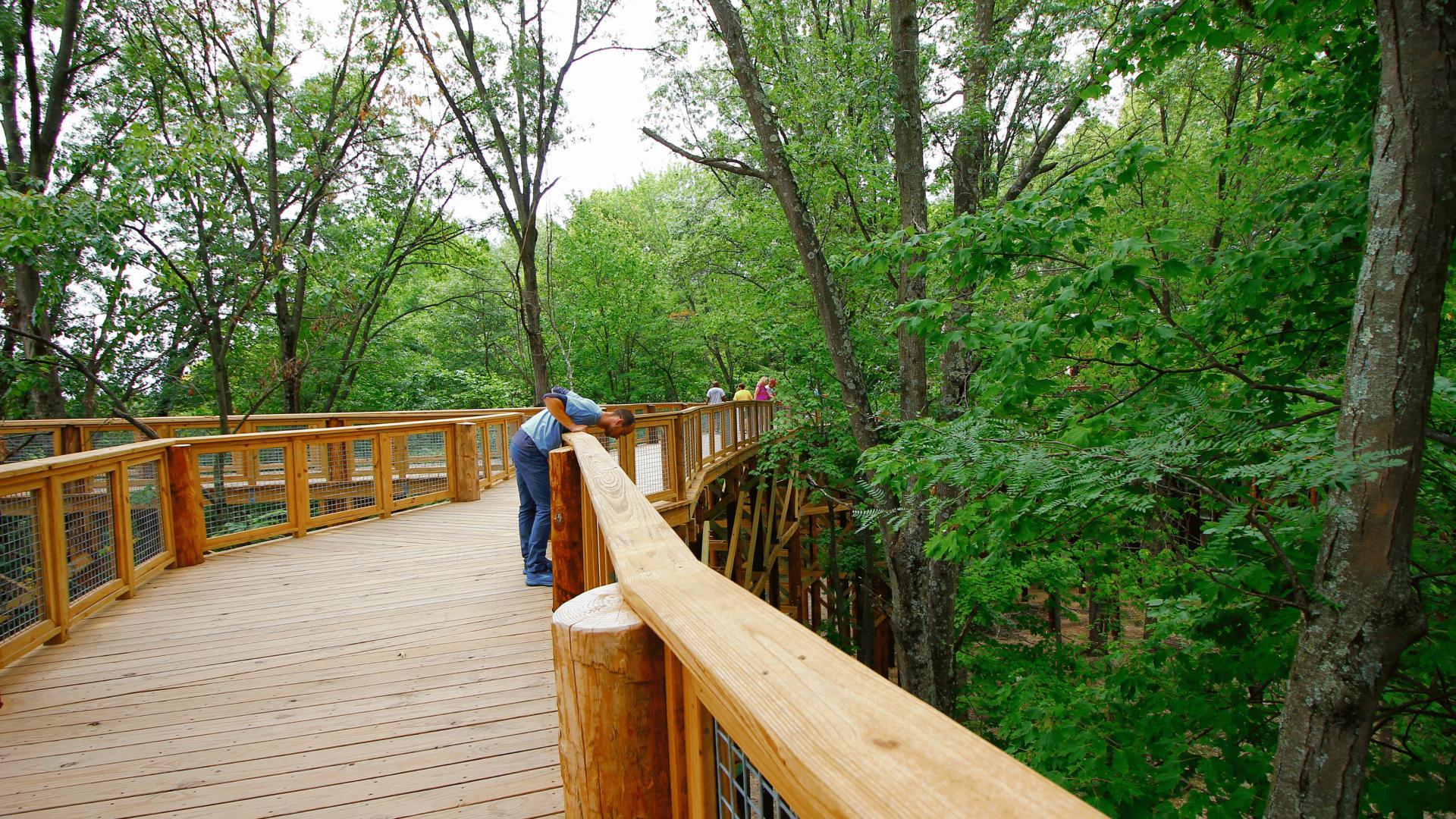 In the summer months, explore the surrounding parks and woodlands of Reynoldsburg.