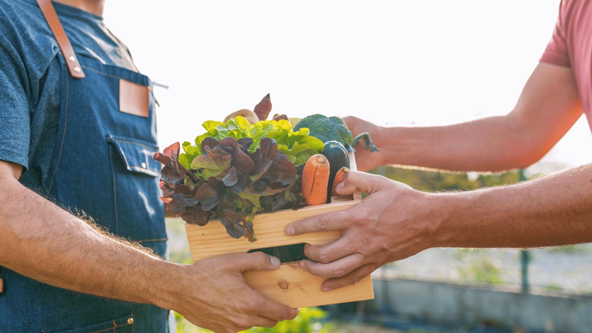 Find local, fresh goods at Witten Farm Market at Smith Farm, located right near Spangler Farms.