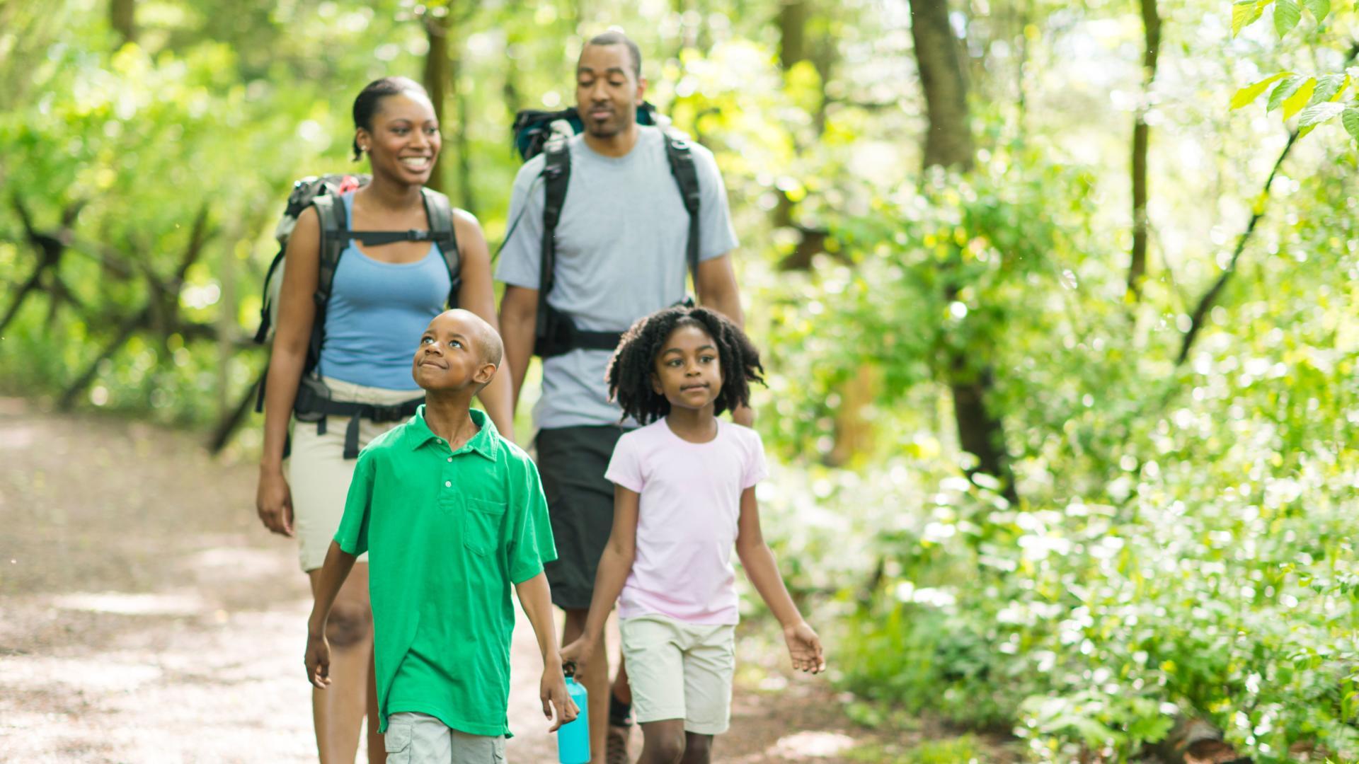 Take the family hiking and experience scenic views on The Creek Trail.